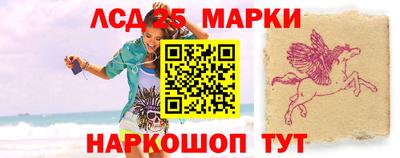 apvp Бийск
