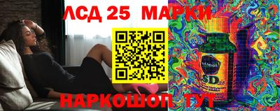 apvp Бийск